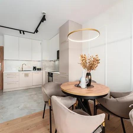 Delux Kasprowicza 20c Prywatny Parking Basen Sauna Oraz Silownia W Cenie コウォブジェク